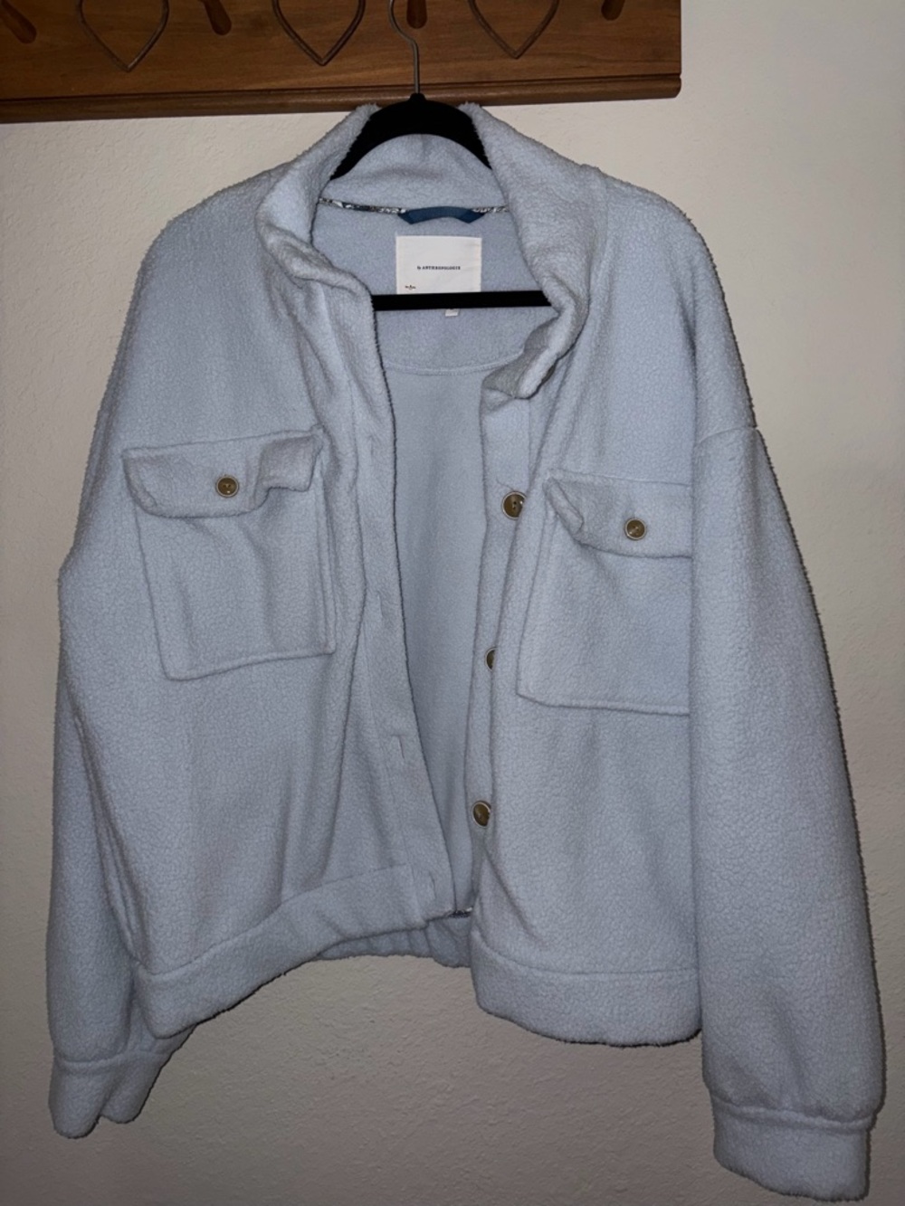 Anthropologie Light Blue Teddy Sherpa Button Jacket